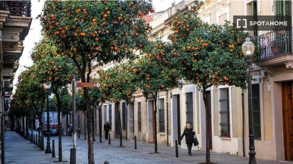 Apartamento entero de 1 dormitorio en Barcelona