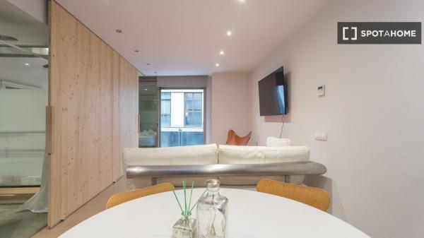 Apartamento entero de 1 dormitorio en Barcelona