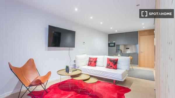 Apartamento entero de 1 dormitorio en Barcelona