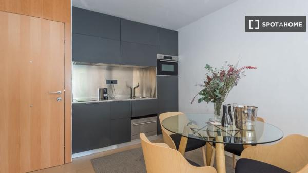 Apartamento entero de 1 dormitorio en Barcelona