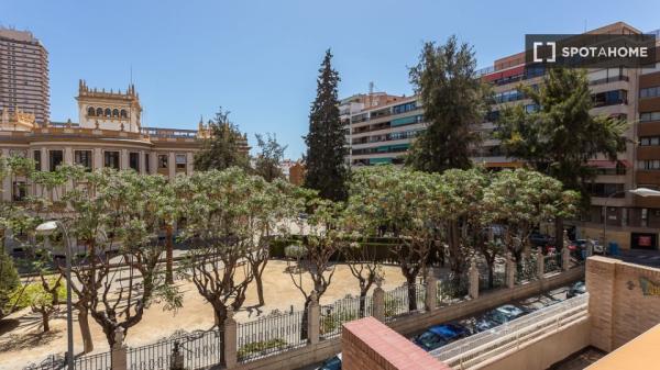 Se alquila habitación en piso compartido en Alicante