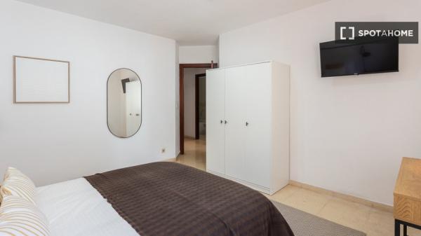 Se alquila habitación en piso compartido en Alicante