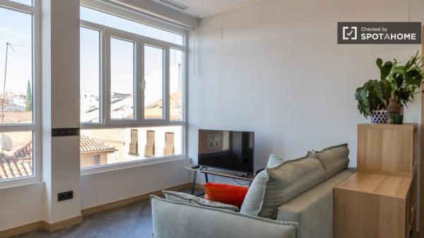 apartamento de 1 dormitorio en alquiler en Malasaña, Madrid