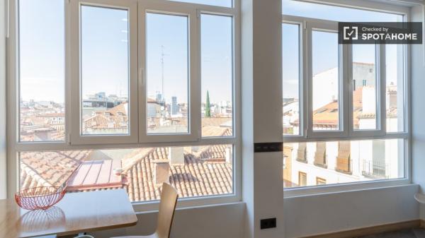 apartamento de 1 dormitorio en alquiler en Malasaña, Madrid