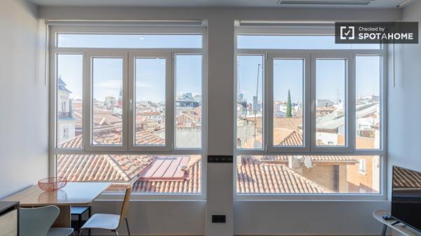 apartamento de 1 dormitorio en alquiler en Malasaña, Madrid