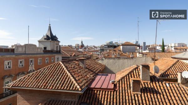 apartamento de 1 dormitorio en alquiler en Malasaña, Madrid