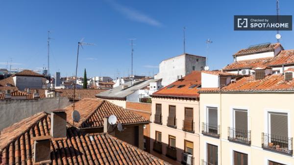 apartamento de 1 dormitorio en alquiler en Malasaña, Madrid