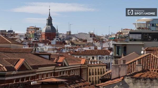 apartamento de 1 dormitorio en alquiler en Malasaña, Madrid