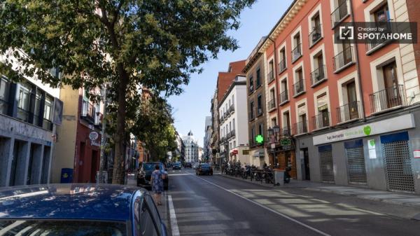 apartamento de 1 dormitorio en alquiler en Malasaña, Madrid