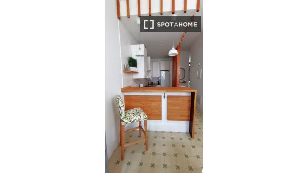 Whole 3 bedrooms apartment in Santa Cruz de Tenerife