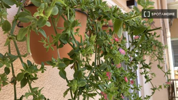 Room for rent in 4-bedroom apartment in Mercado, Alicante