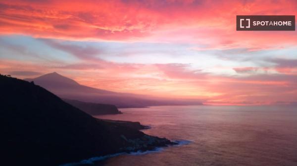 2-pokojowe mieszkanie do wynajęcia w Santa Cruz De Tenerife