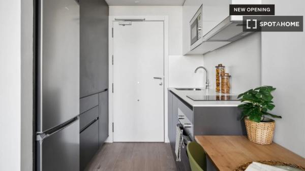 Apartamento estudio con acceso gratuito a gimnasio y piscina en Valleca