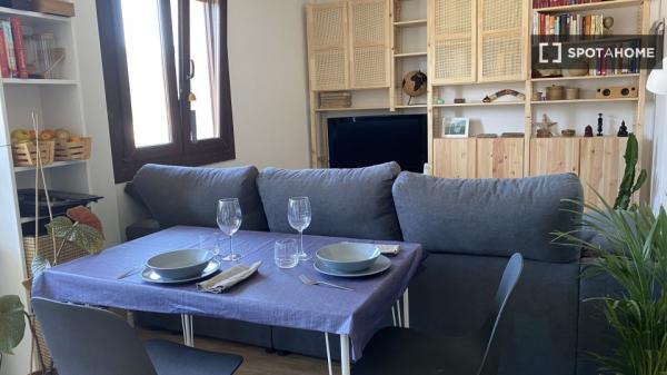 Apartamento entero de 1 dormitorio en Donostia