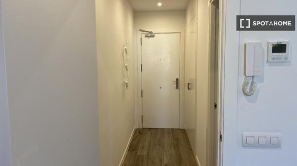 Apartamento entero de 1 dormitorio en Barcelona