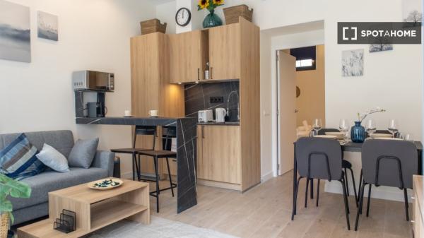 Apartamento entero de 1 habitaciones en Madrid