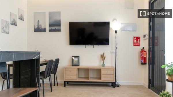 Apartamento entero de 1 habitaciones en Madrid