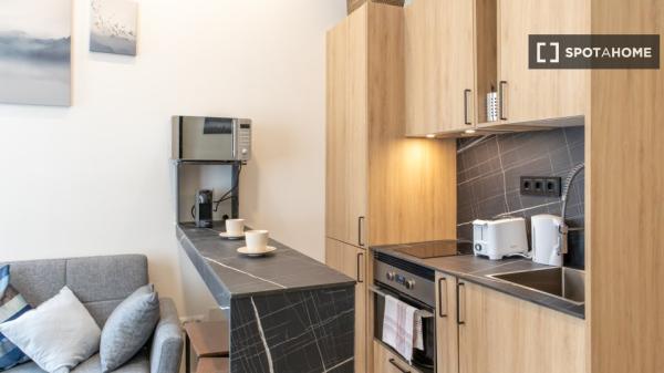 Apartamento entero de 1 habitaciones en Madrid