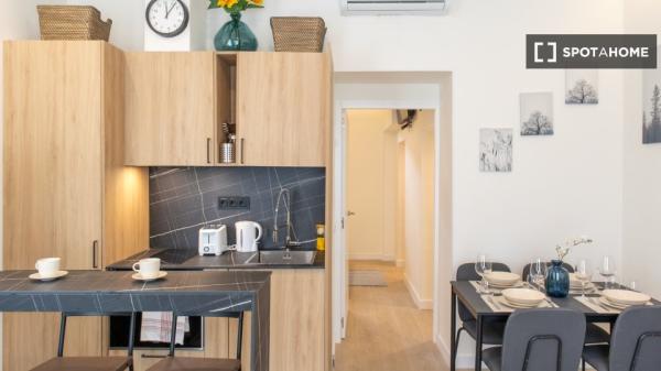 Apartamento entero de 1 habitaciones en Madrid