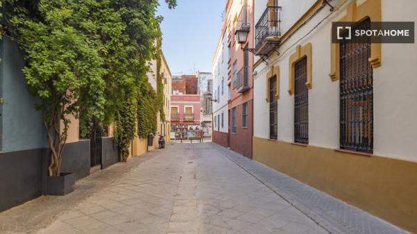 Estudio en Sevilla