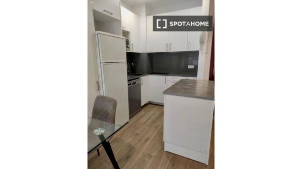 Apartamento entero de 1 habitaciones en Madrid