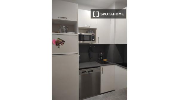 Apartamento entero de 1 habitaciones en Madrid