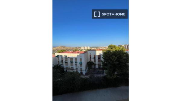 Room in shared apartment in Alicante (Alacant)