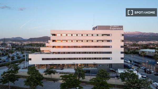 Apartamento estudio en alquiler en residencia en Granada