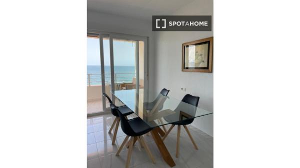 Apartamentos de 3 Habitaciones en Cádiz en Paseo Maritimo.