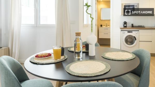 Apartamento entero de 1 dormitorio en Málaga