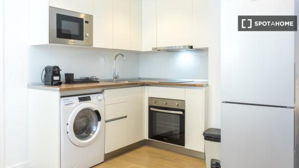 Apartamento entero de 1 dormitorio en Málaga