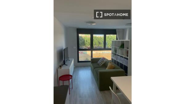 Apartamento tipo estudio en alquiler en P.º Martiricos, Málaga