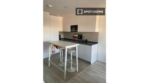 Apartamento tipo estudio en alquiler en P.º Martiricos, Málaga