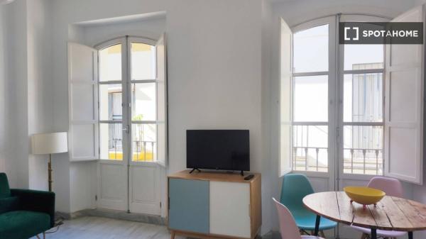 Apartamento de 1 dormitorio en alquiler en Casco Antiguo, Sevilla