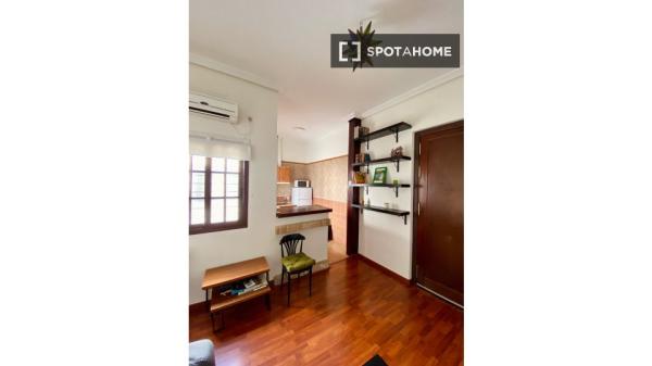 Apartamento de 1 quarto para alugar em Casco Antiguo, Sevilha