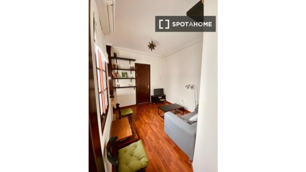 1-bedroom apartment for rent in Casco Antiguo, Sevilla