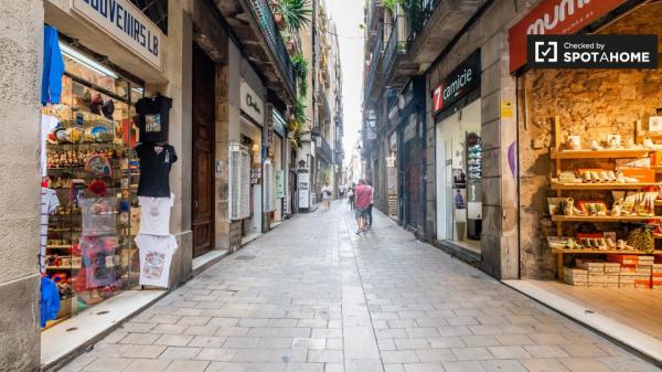 Habitación soleada en apartamento de 5 dormitorios en Barri Gòtic, Barcelona