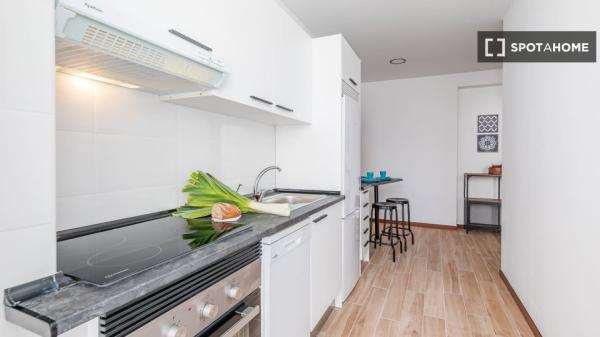 Alquiler de habitaciones en piso de 4 dormitorios en Berruguete, Madrid