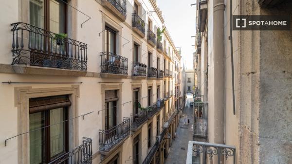 Rooms for rent in 5-bedroom apartment in Barcelona