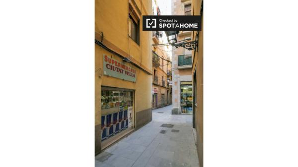 Süßes Studio zur Miete in El Born, Barcelona