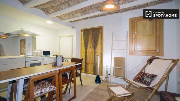 Apartamento chique para alugar em El Raval