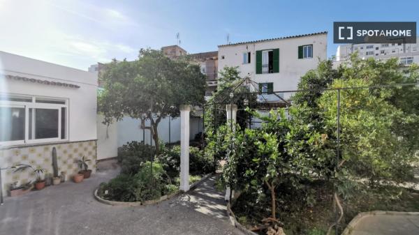 Se alquila habitación en piso compartido en Palma