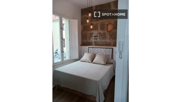 Studio-Apartment zur Miete in Casco Vello, Vigo