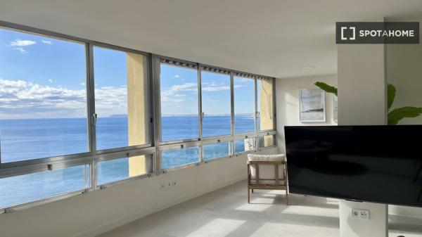 Apartamento entero de 3 dormitorios en Alicante (Alacant)