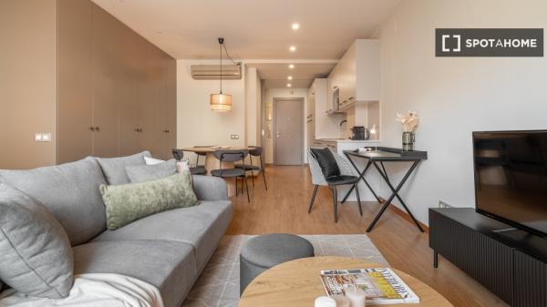 Apartamento entero de 1 dormitorio en Barcelona