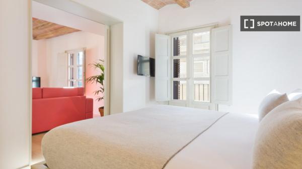 Piso de 2 habitaciones en el centro de Barcelona