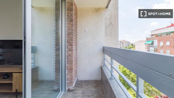 Apartamento entero de 1 habitaciones en Madrid