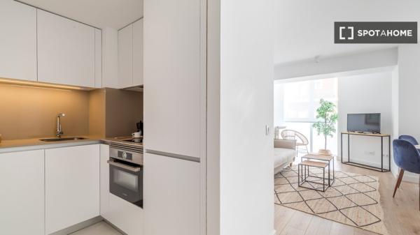 Apartamento entero de 1 habitaciones en Madrid