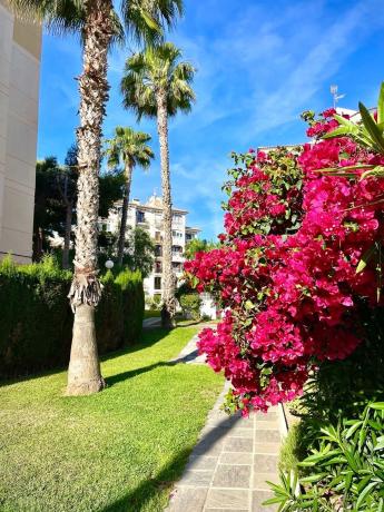 Ático en Barrio Nueva Torrevieja