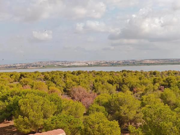 Estudio en Barrio La Siesta - El Salado - Torreta